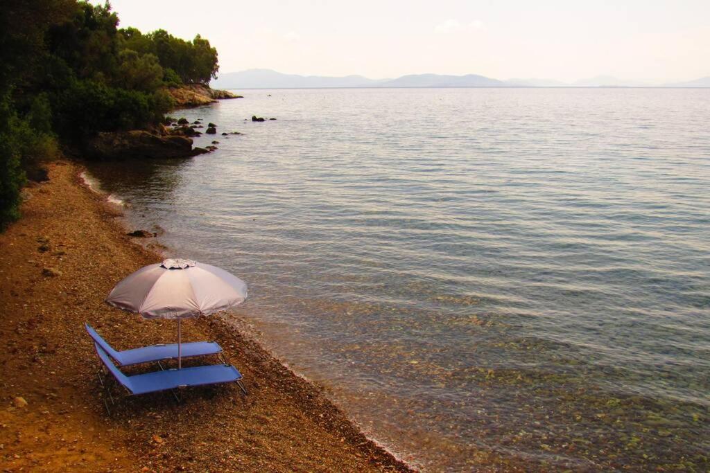 Christie'S Ground Floor Apartment By The Sea Като-Гацеа Экстерьер фото